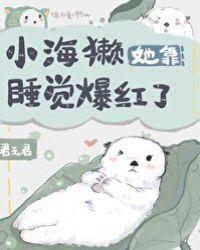 小海獭她靠睡觉爆红了31