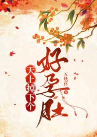 80. 天上掉下个媳妇儿 作者决绝……