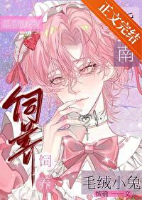 小毛绒兔子
