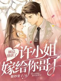 许小姐嫁给你哥了!txt