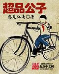 超品公子动画1到100集