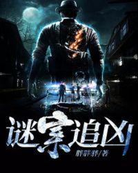谜案追凶1