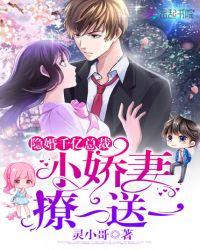 隐婚总裁甜文