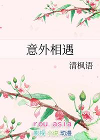 意外相遇完整在线阅读