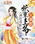 神医王妃