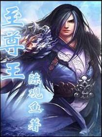 至尊王子黑金限定版53度价格表