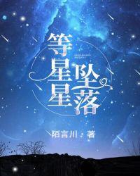 等星星坠落txt在线阅读