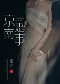 京南婚事(1v1 婚恋)作者臣言