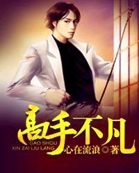 高手不凡在线阅读