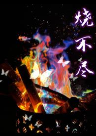 烧不尽是不是双洁