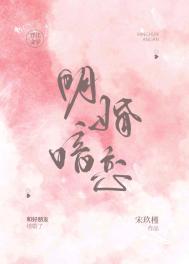 明婚暗恋内容