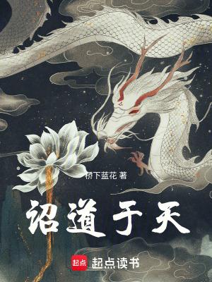 诏道于天 在线阅读