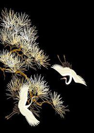 西京烬余录无删减