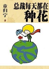 总裁每天都在为我打榜