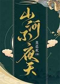 山河不夜天介绍