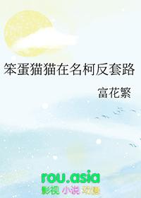 看笨蛋猫咪