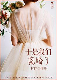 我们离婚了2