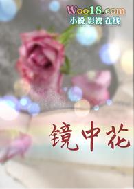 镜中欢
