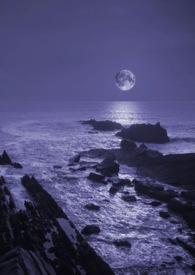 暗夜深海电视剧免费在线观看