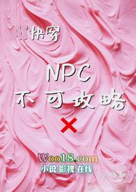 可攻略npc的游戏