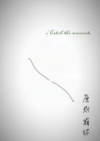 原则崩坏by乌鱼txt