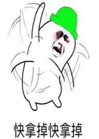 满朝文武皆绿你作者写的其他