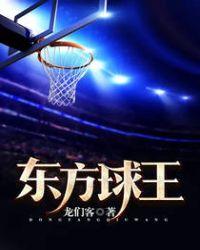 东方球王东方辰写的是谁