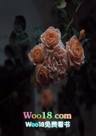 壁垒骨科np(江至疏)免费阅读