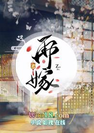 再嫁by十夜灯TXT