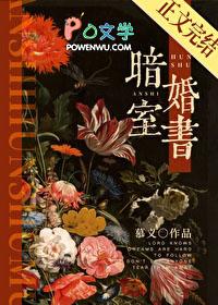 暗室婚书讲的什么