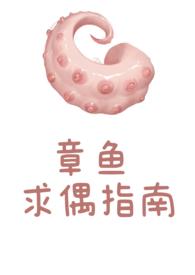 章鱼求偶指南电子版