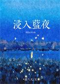 浸入蓝夜TXT百度