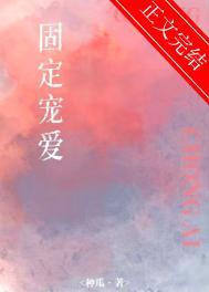 固定伴侣是什么意思