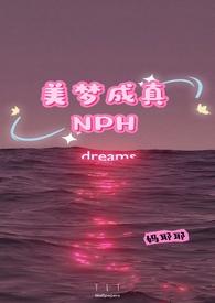 美梦成真(n)作者妈耶耶