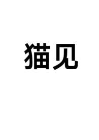 猫咪见见