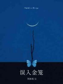 误入金笼by贺新郎简介
