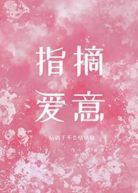 指摘爱意全文免费
