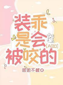 装乖写的是什么