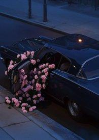 锁清秋的锁是什么意思