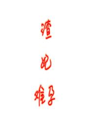 渣妃是个撒谎精
