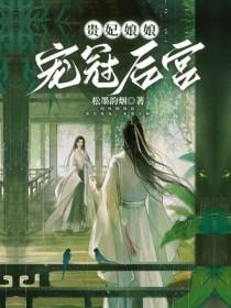 贵妃娘娘宠冠后宫by梁西弥百度