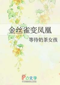 金丝雀leo