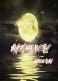 眸中客什么意思