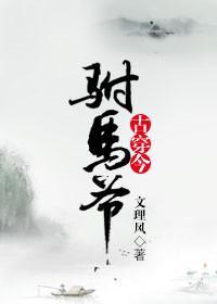 古穿今之驸马爷作者文理风