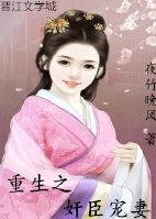重生之佞臣