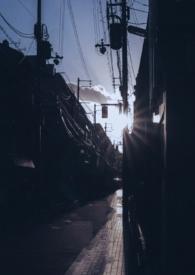 你是我的曙光全文免费阅读无弹窗