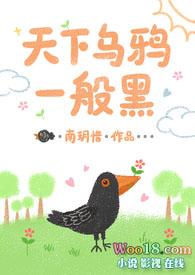 天下乌鸦一般黑怎么接下一句