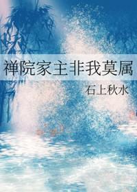 禅院家的术
