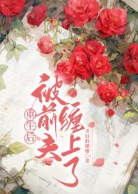 重生后我被前夫他哥娇宠