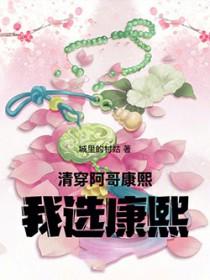 清穿都在抢阿哥那我选康熙